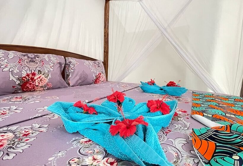 住宿加早餐 Kihori Nungwi