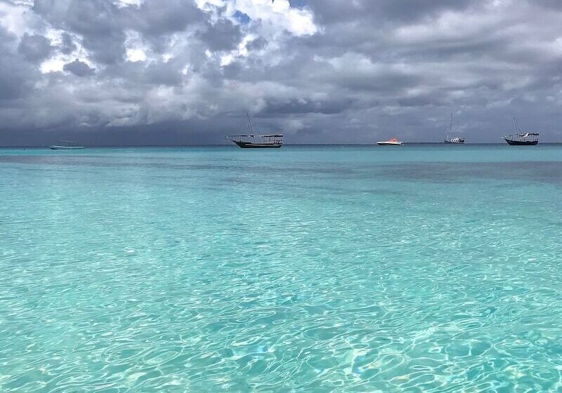 住宿加早餐 Kihori Nungwi