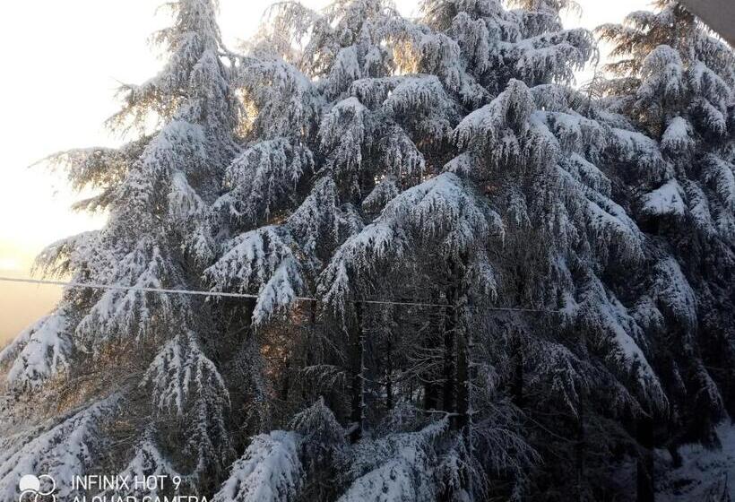 호텔 Himalayan Galaxy