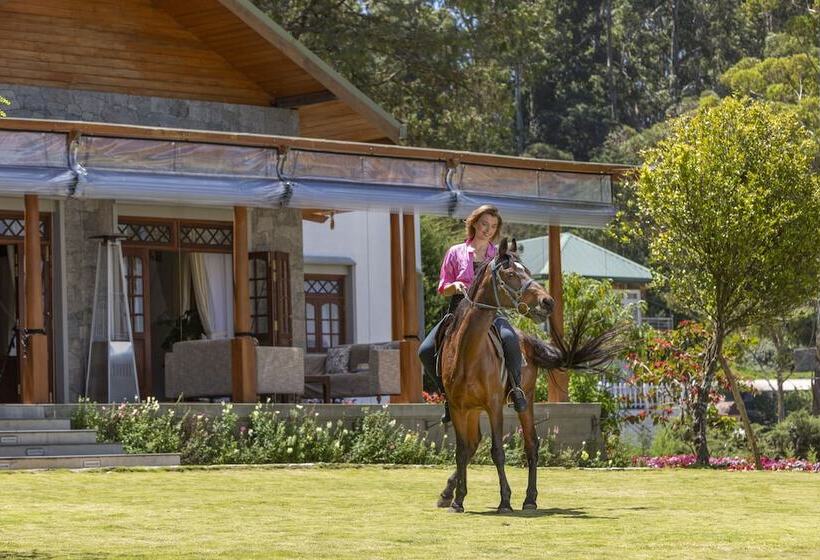 منتجع W15 Lake Gregory