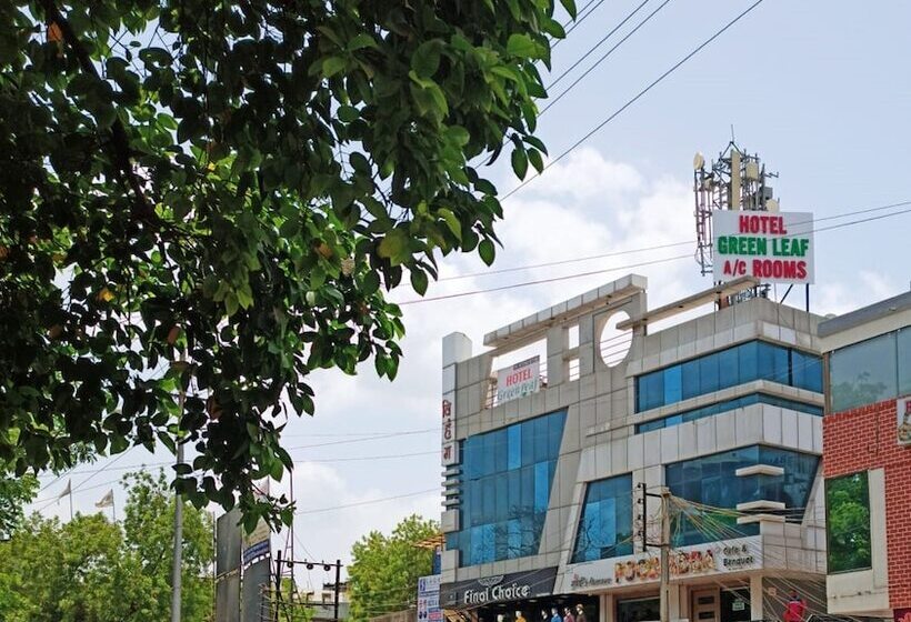 酒店 Green Leaf,anand