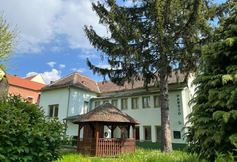 Pensjonat Vaskapu Fogadó