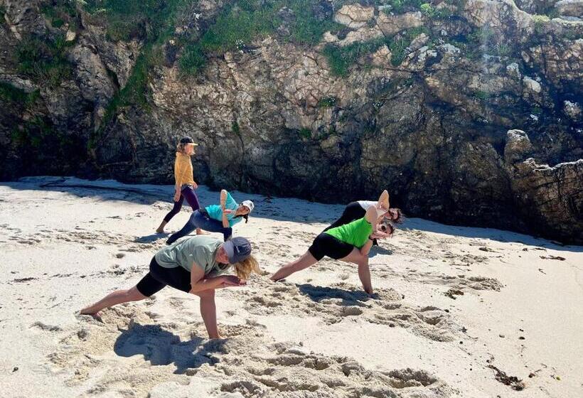 تختخواب و صبحانه Islow Coliving