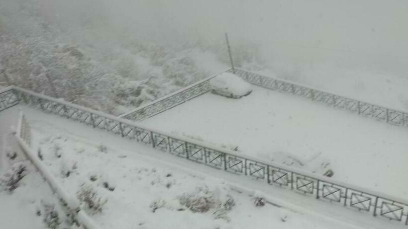 ホテル Aaryam Resort, Auli