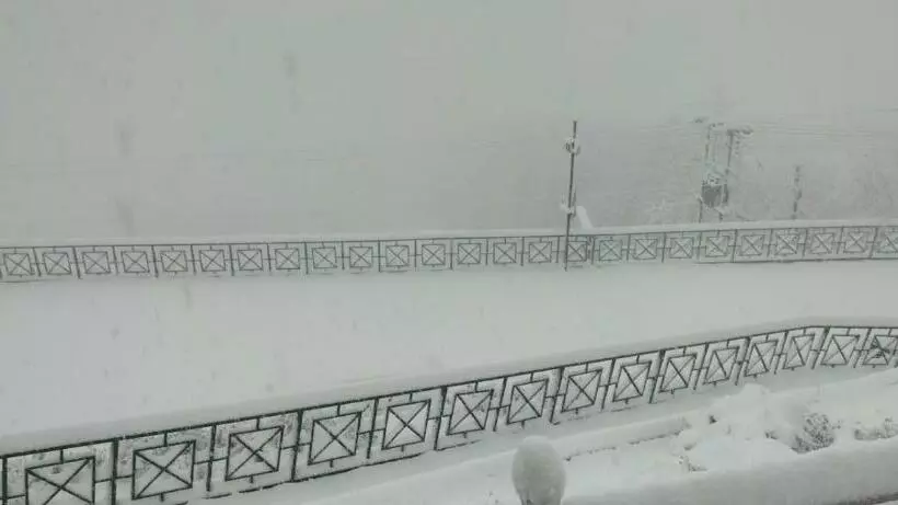 Hotelli Aaryam Resort, Auli