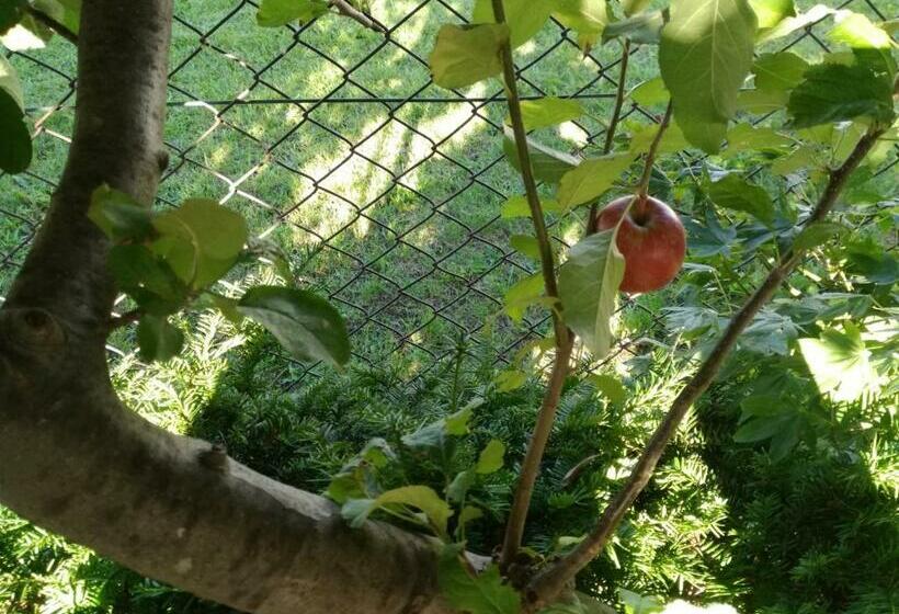 膳宿费 B&b Yoshida Vacation Stay 12701