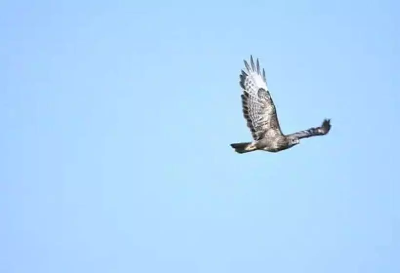 Peaceful Cabin Retreat In Skegby