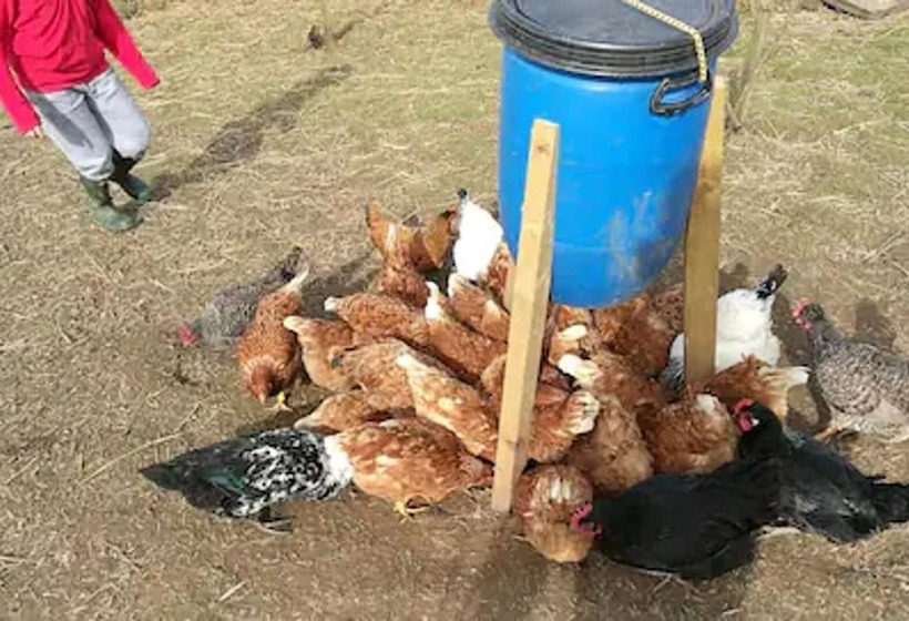 Peaceful Cabin Retreat In Skegby