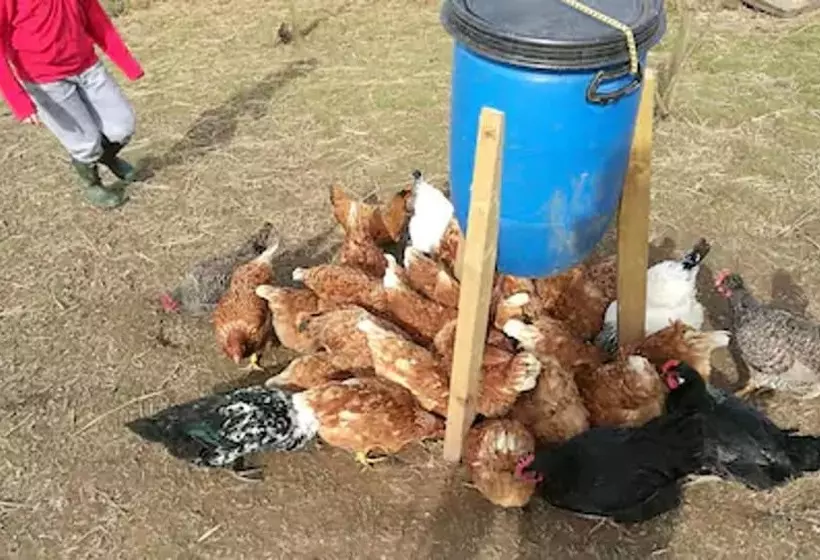 Peaceful Cabin Retreat In Skegby