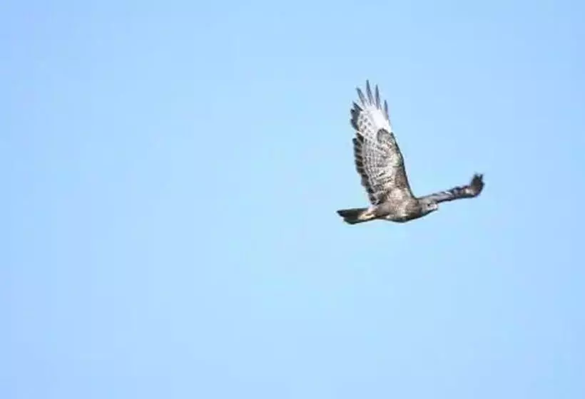 Peaceful Cabin Retreat In Skegby