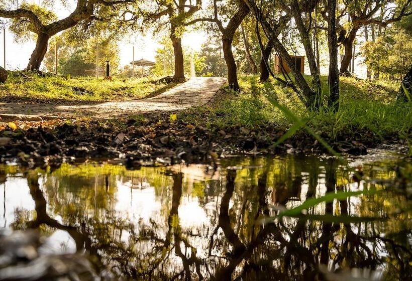 Albergue Inturjoven Cortes De La Frontera