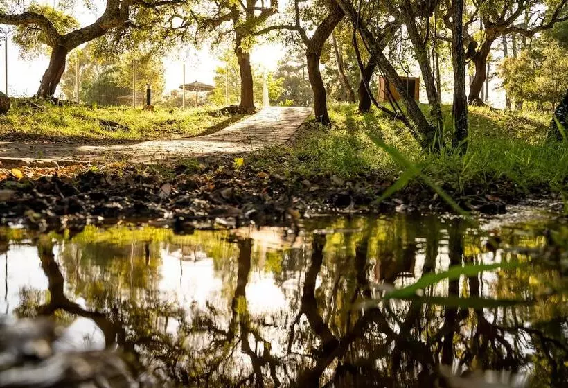 Albergue Inturjoven Cortes De La Frontera
