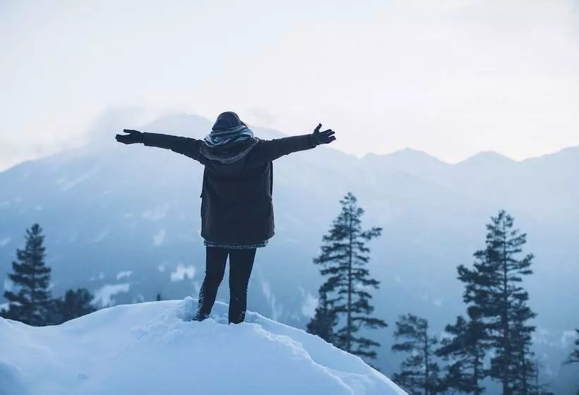 Bed and Breakfast Europa Pension Tirol