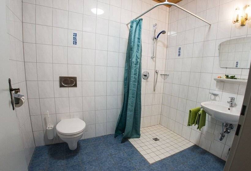 Bed and Breakfast Europa Pension Tirol