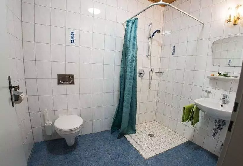 Bed and Breakfast Europa Pension Tirol