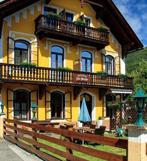 住宿加早餐  Pension Alte Mühle