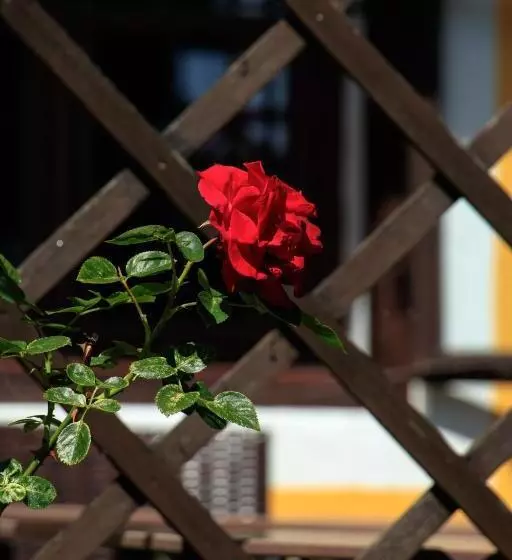 민박 Pension Alte Mühle