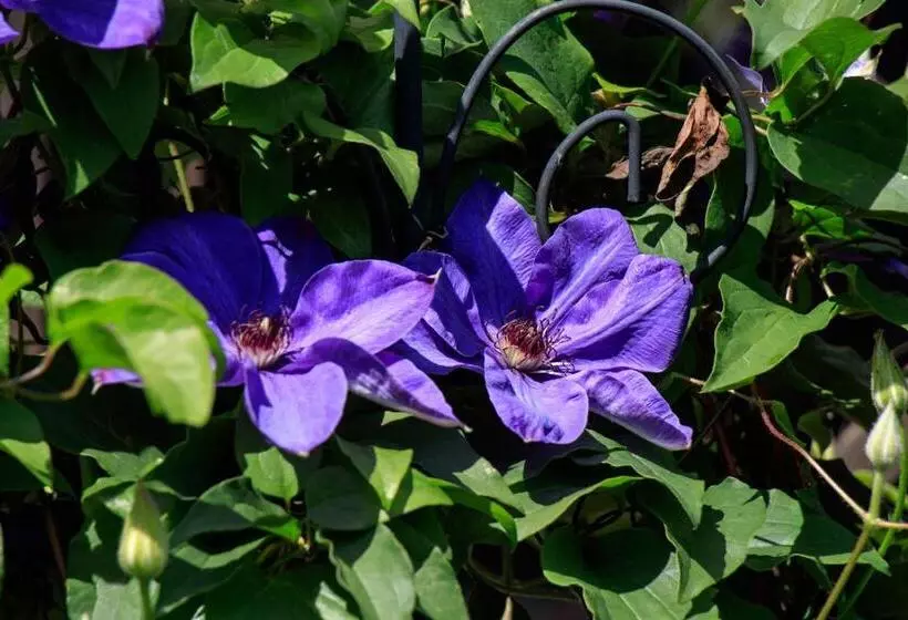 민박 Pension Alte Mühle