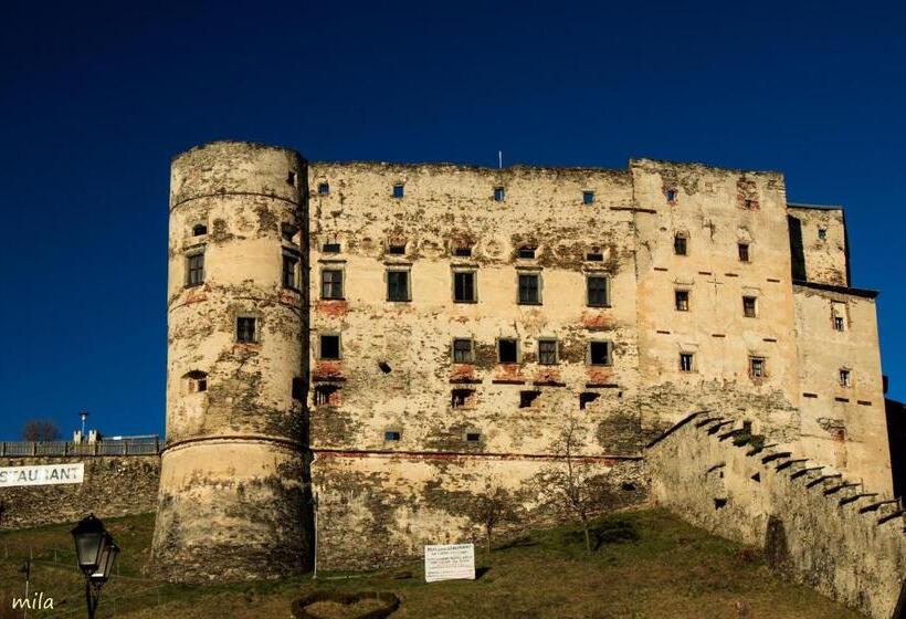 住宿加早餐  Pension Alte Mühle