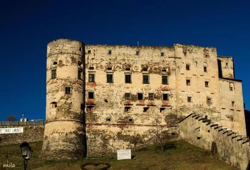 민박 Pension Alte Mühle