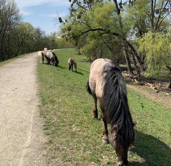 Bernstein Motel Marchegg