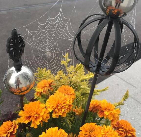 Bernstein Motel Marchegg