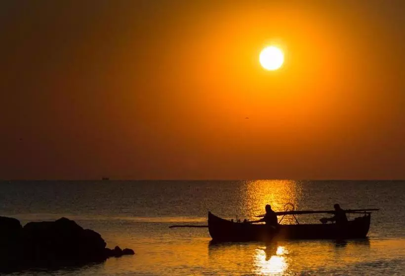 مسافرخانه Casa Teo