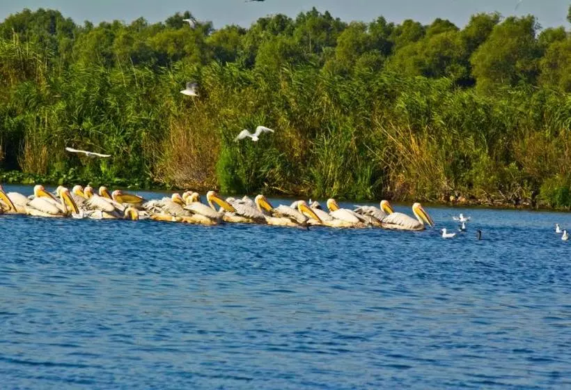 مسافرخانه Casa Teo