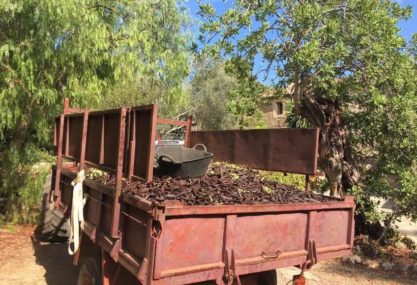 ホテル Agroturismo Son Penyaflor