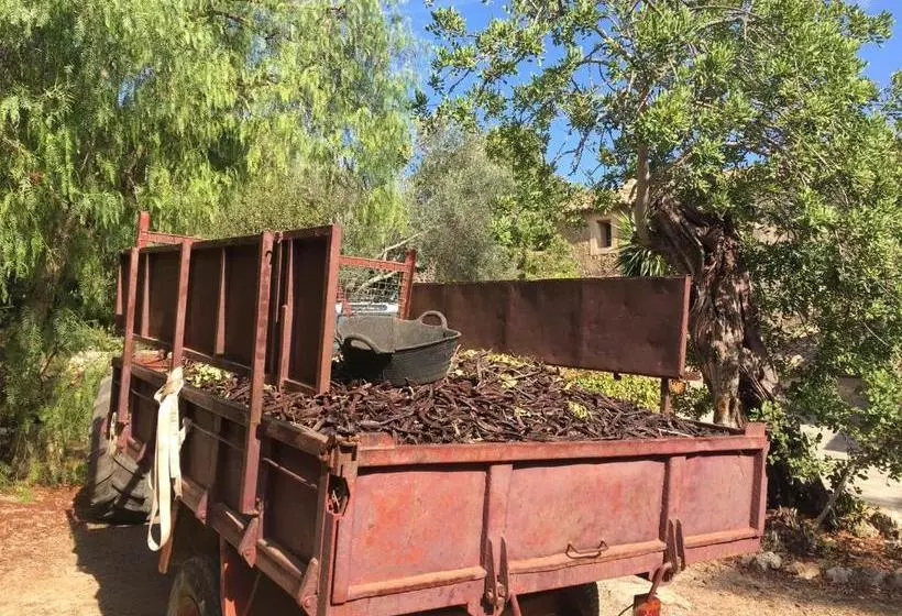 Отель Agroturismo Son Penyaflor