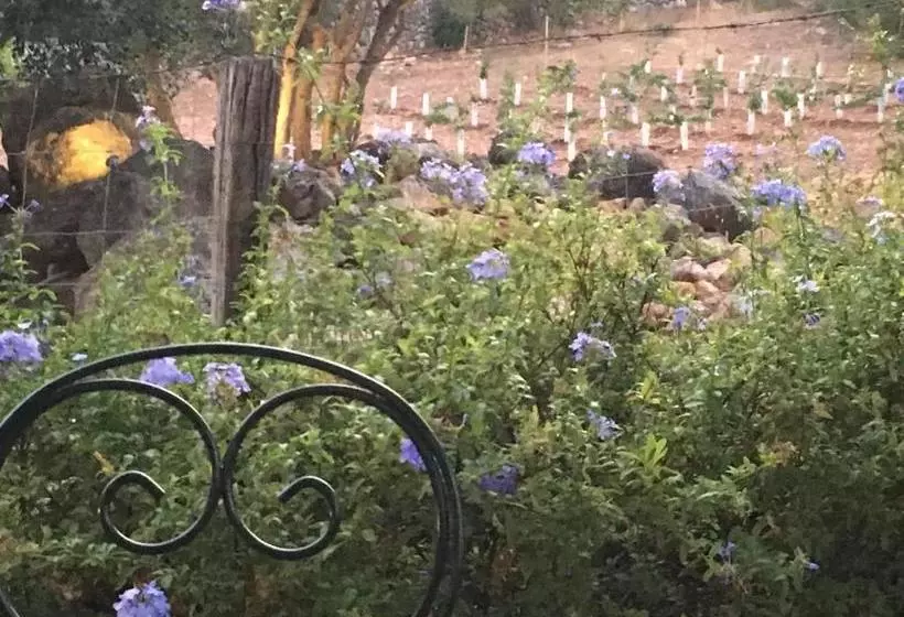 Отель Agroturismo Son Penyaflor