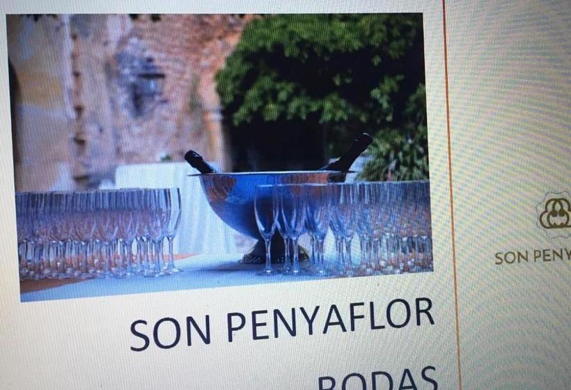 ホテル Agroturismo Son Penyaflor