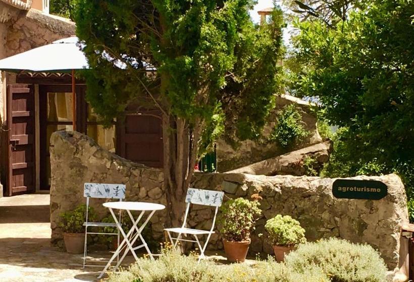 ホテル Agroturismo Son Penyaflor