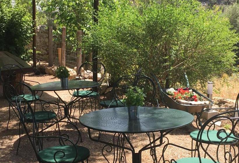 ホテル Agroturismo Son Penyaflor