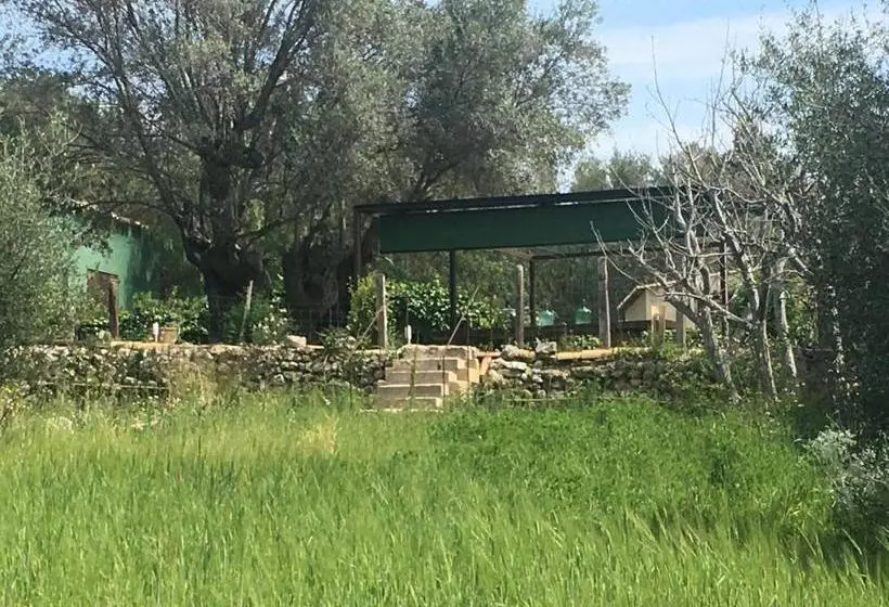 Отель Agroturismo Son Penyaflor