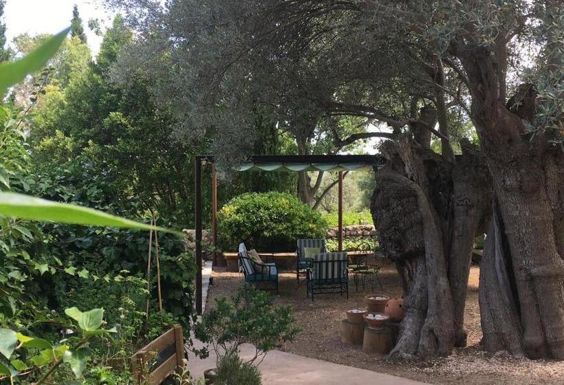 ホテル Agroturismo Son Penyaflor