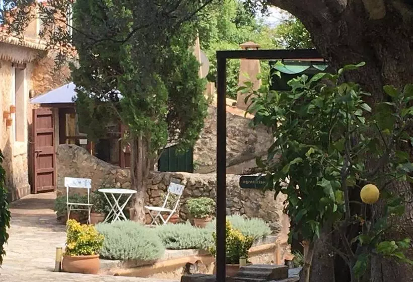 Отель Agroturismo Son Penyaflor