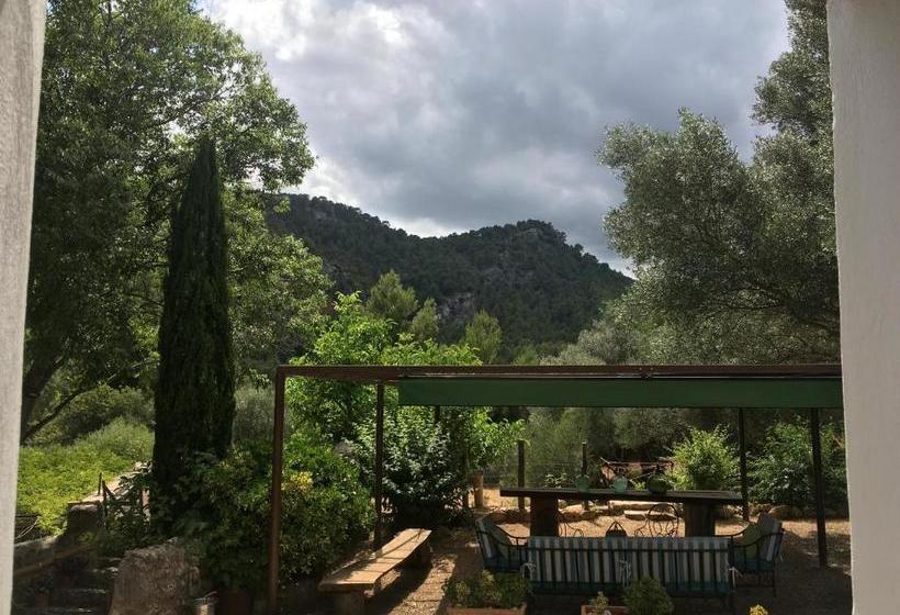 ホテル Agroturismo Son Penyaflor