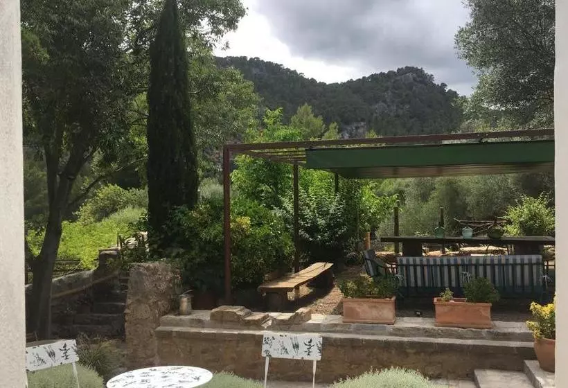 Отель Agroturismo Son Penyaflor