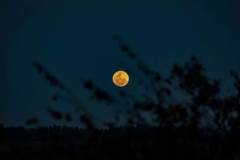 בית מלון כפרי Buckler S Africa Lodge Kruger Park