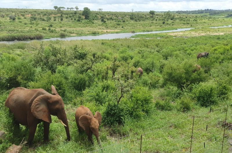 호텔 Buckler S Africa Lodge Kruger Park