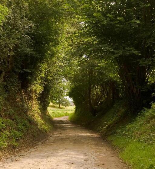 Fletcher Hotel Restaurant De Kempen