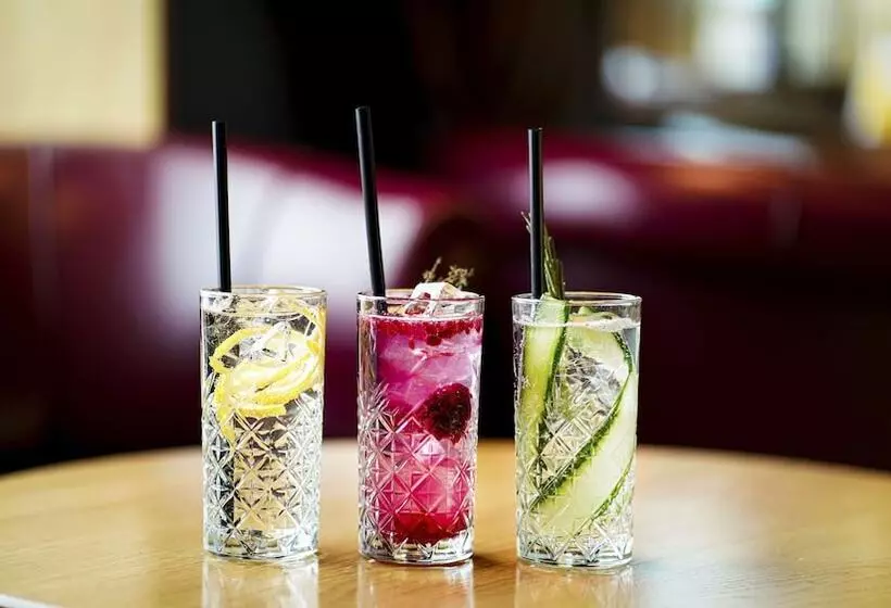 酒店 Frutt Mountain Resort