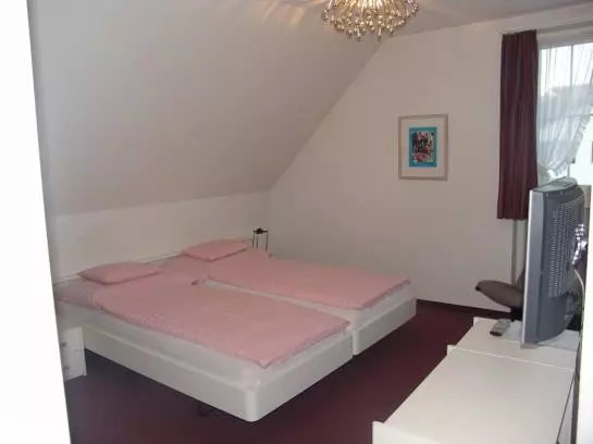 Pension Gasthof Metzg