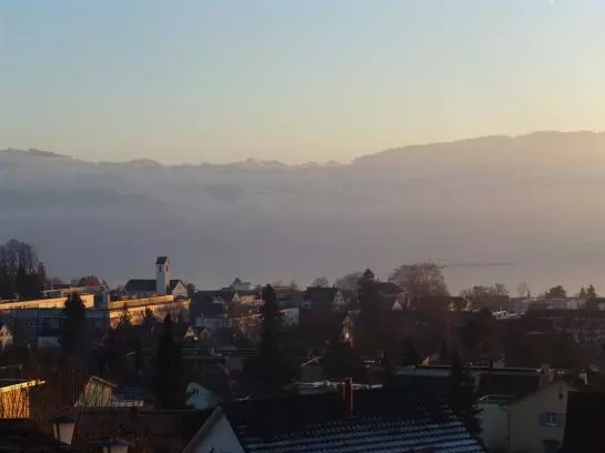 Pension Gasthof Metzg