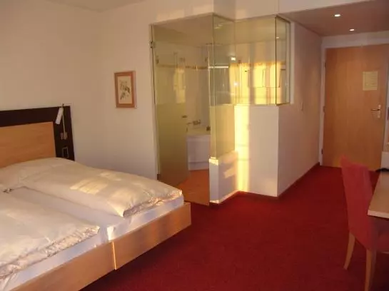 Pension Gasthof Metzg