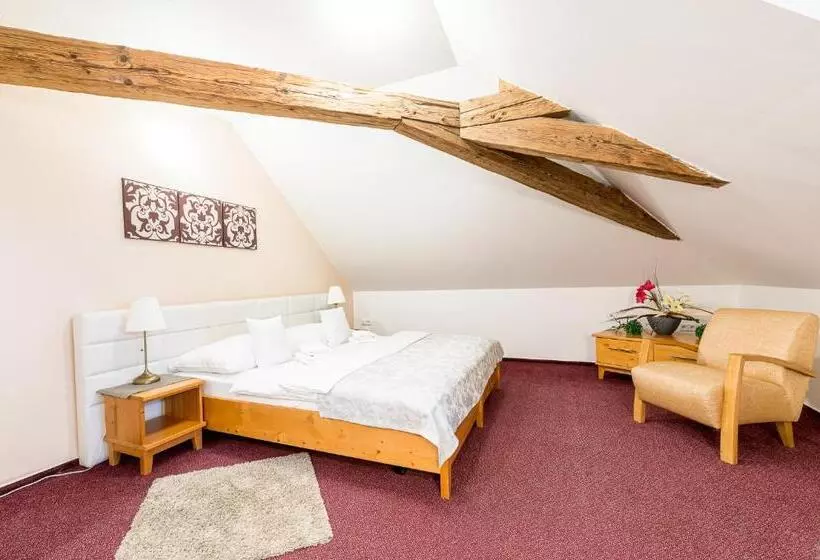 فندق Nové Adalbertinum