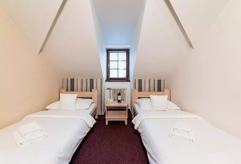 فندق Nové Adalbertinum