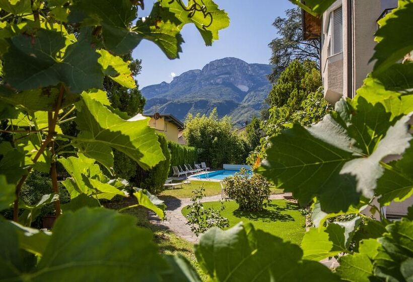 酒店 Weingarten Terlan   Rooms & Breakfast