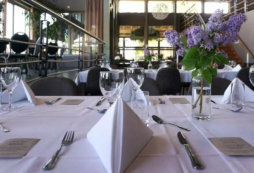 酒店 Dinners Mellerud